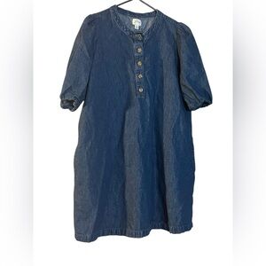 J. Crew Puff-sleeve baby doll Denim dress Popover elastic sleeves base Medium